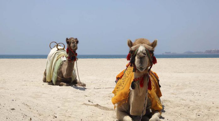 Best Island Escapes You Can Drive To