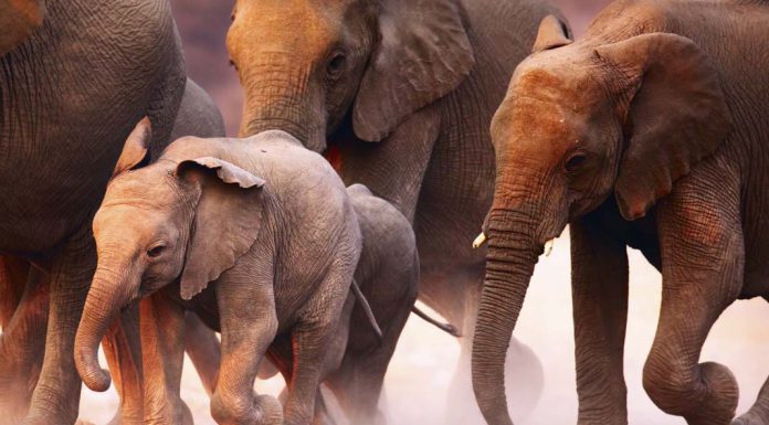 Affordable Tropical Island Getaways