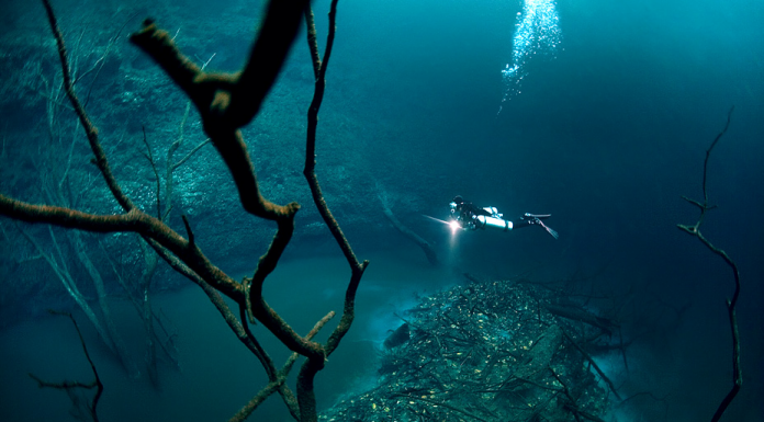 Amazing Underwater River: Cenote Angelita in Mexico