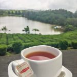 MauritiusBoisCherie
